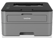 Brother HL-L2312D